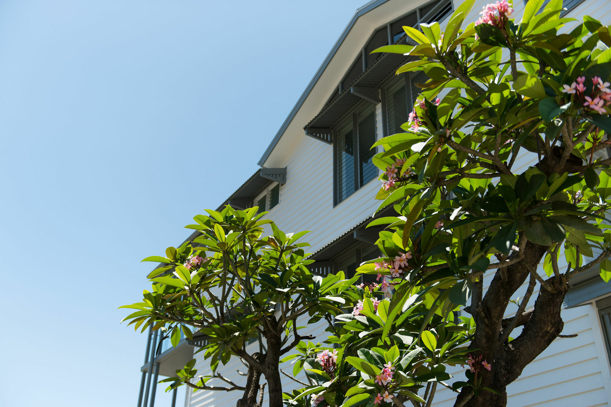 Heart Hotel And Gallery Whitsundays Airlie Beach Buitenkant foto