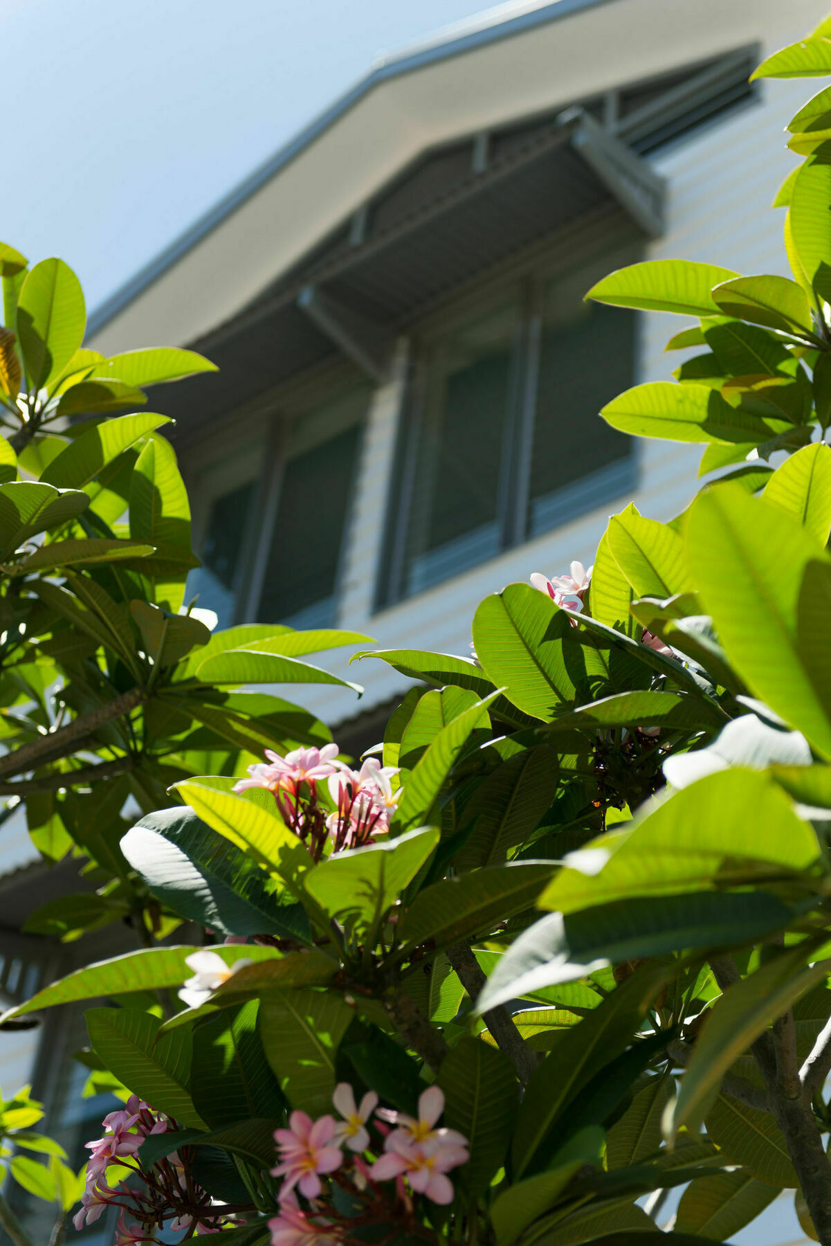 Heart Hotel And Gallery Whitsundays Airlie Beach Buitenkant foto