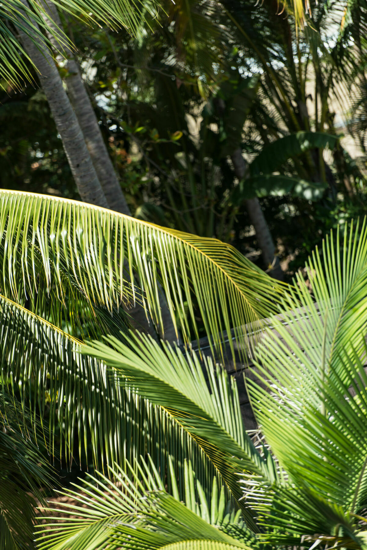 Heart Hotel And Gallery Whitsundays Airlie Beach Buitenkant foto