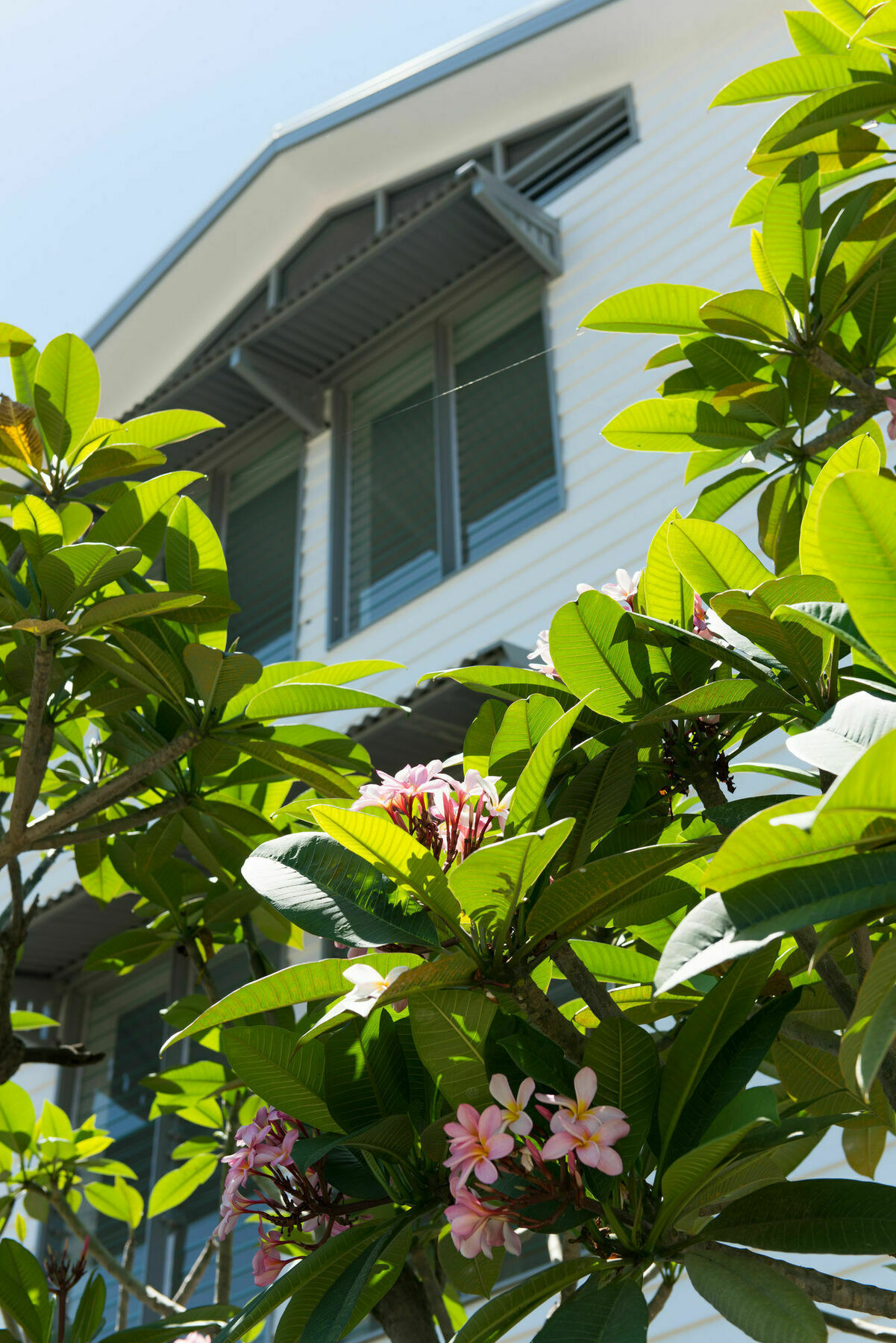 Heart Hotel And Gallery Whitsundays Airlie Beach Buitenkant foto